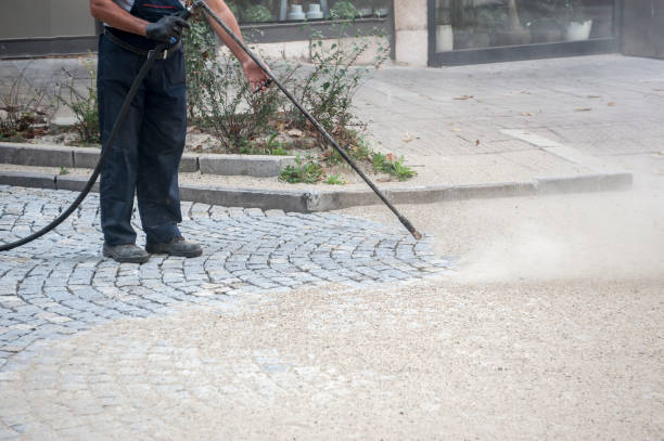 Best Dumpster Area Cleaning  in Dixon Lane Meadow Creek, CA